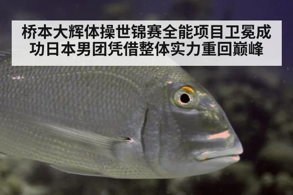 桥本大辉体操世锦赛全能项目卫冕成功日本男团凭借整体实力重回巅峰