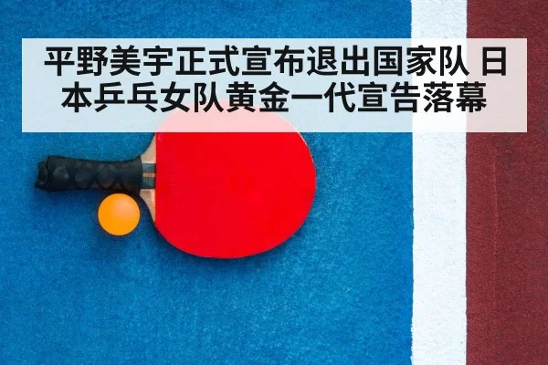 table tennis racket close up